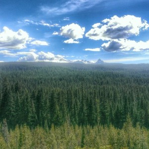Diamond Peak Wilderness - Southern Oregon